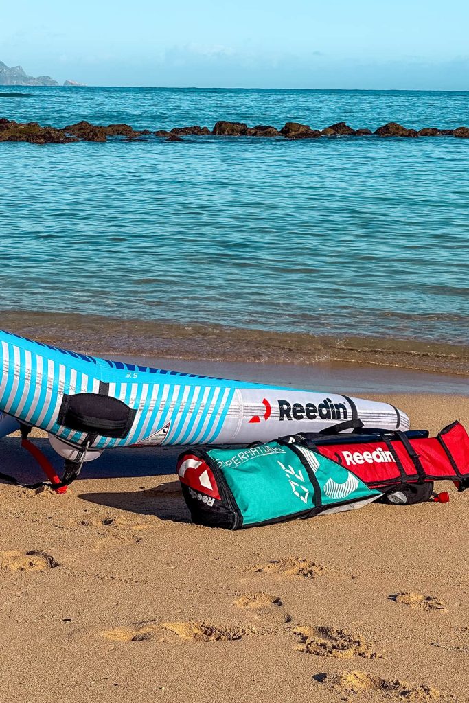 Reedin SuperNatural 2026 Wing