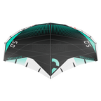 Reedin SuperNatural 2026 Wing